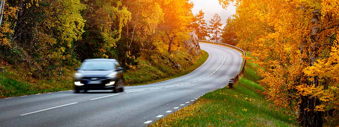 coche en carretera entre árboles con hojas naranjas