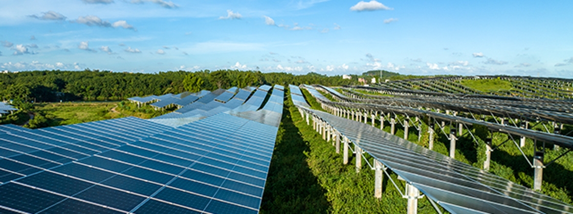 paneles solares sobre campo verde
